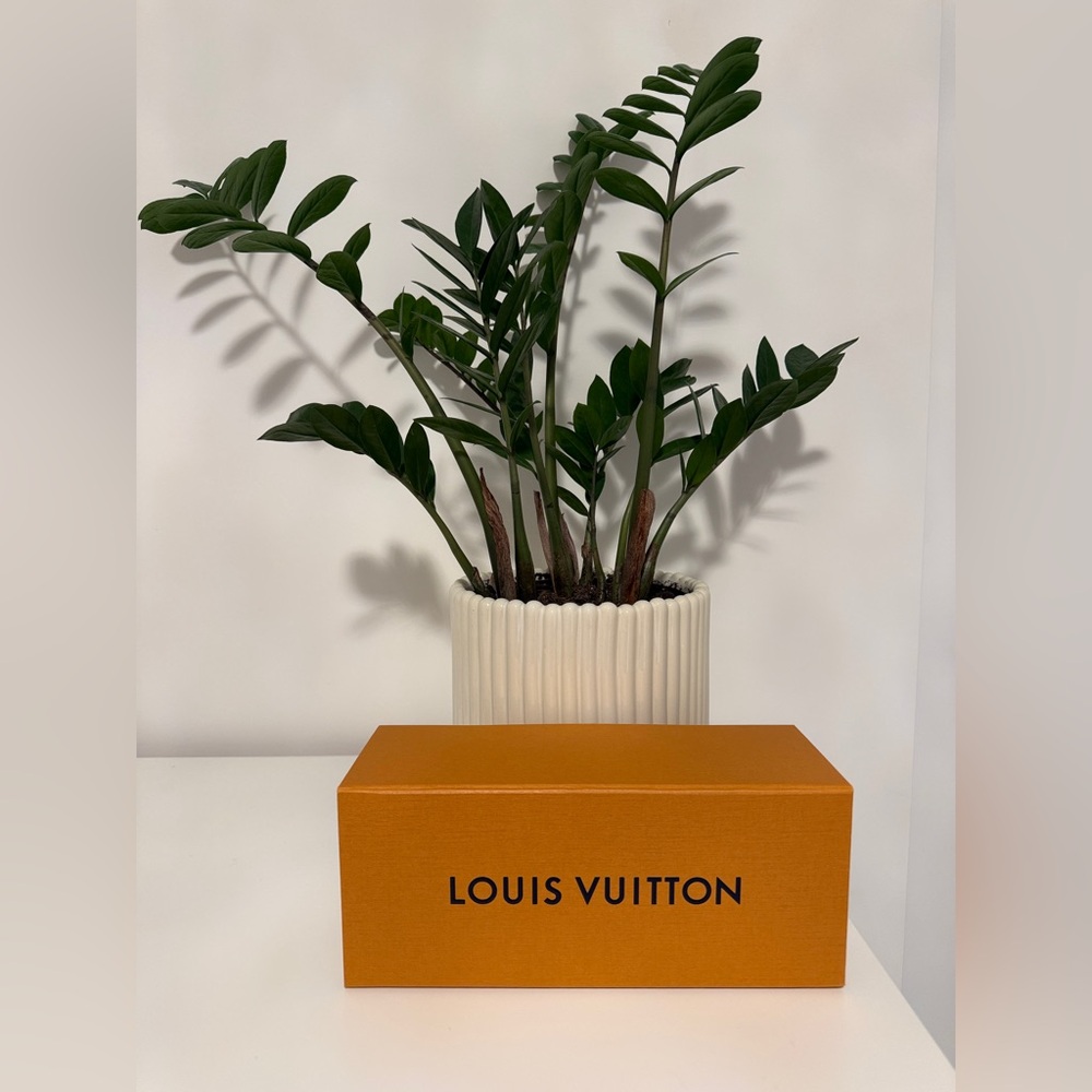 Louis Vuitton Empty Gift Box with Lid – Authentic Packaging